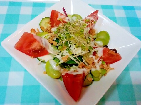 ベビーリーフとそら豆のコクうまサラダ♪